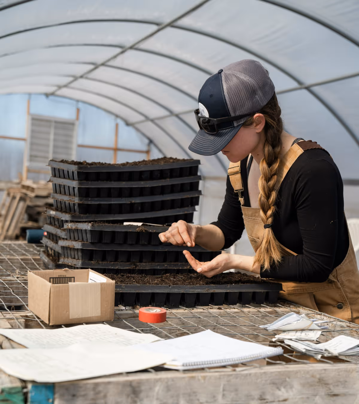 Woman in a greenhouse planting seeds in soil trays on a worktable.